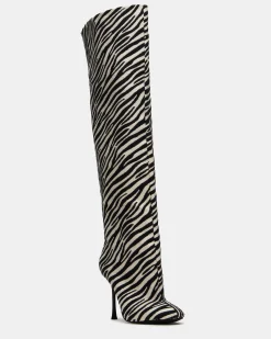Alluring Zebra