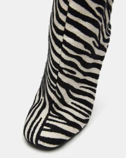 Alluring Zebra