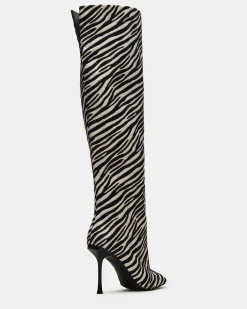 Alluring Zebra