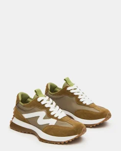Campo Olive Multi