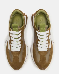 Campo Olive Multi