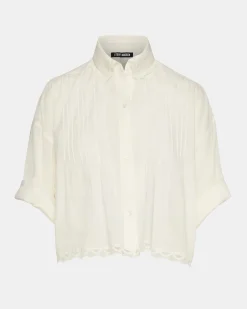 Delphi Top Antique