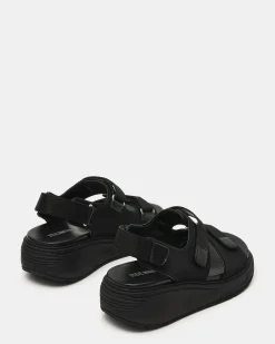 Galia Black