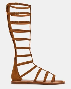 Gladius Chestnut