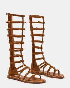 Gladius Chestnut