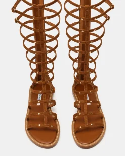 Gladius Chestnut