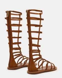 Gladius Chestnut