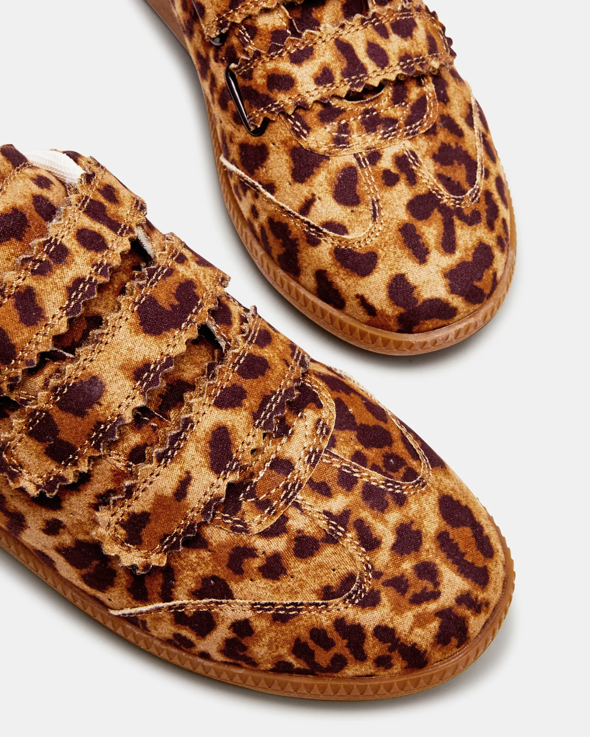 Momentum Leopard