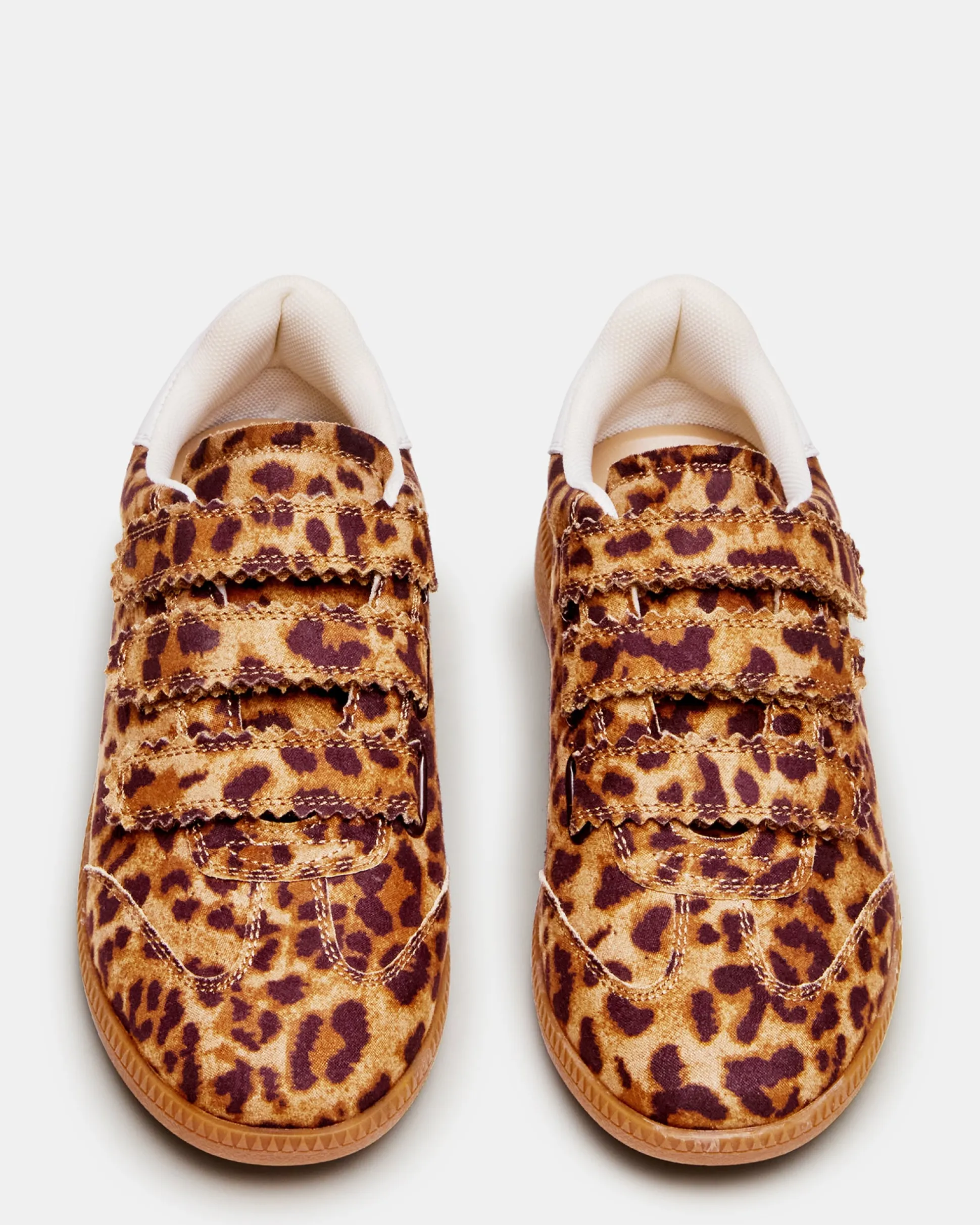 Momentum Leopard
