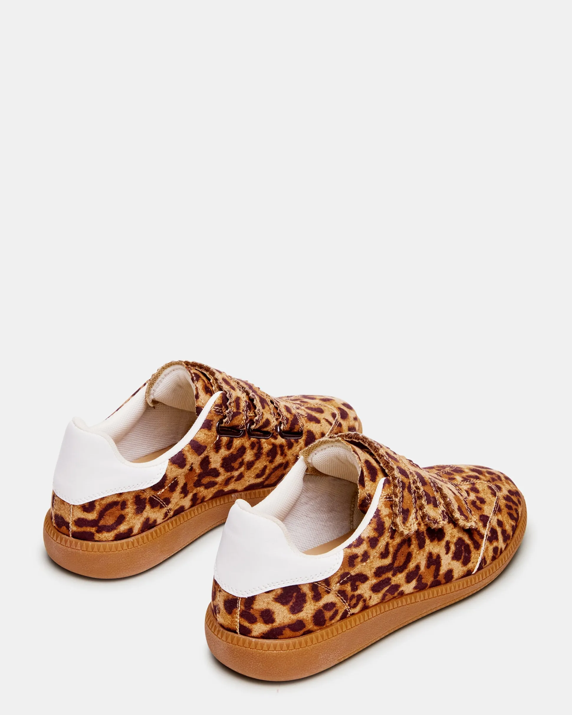 Momentum Leopard