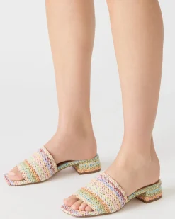 Montgomery Bright Multi