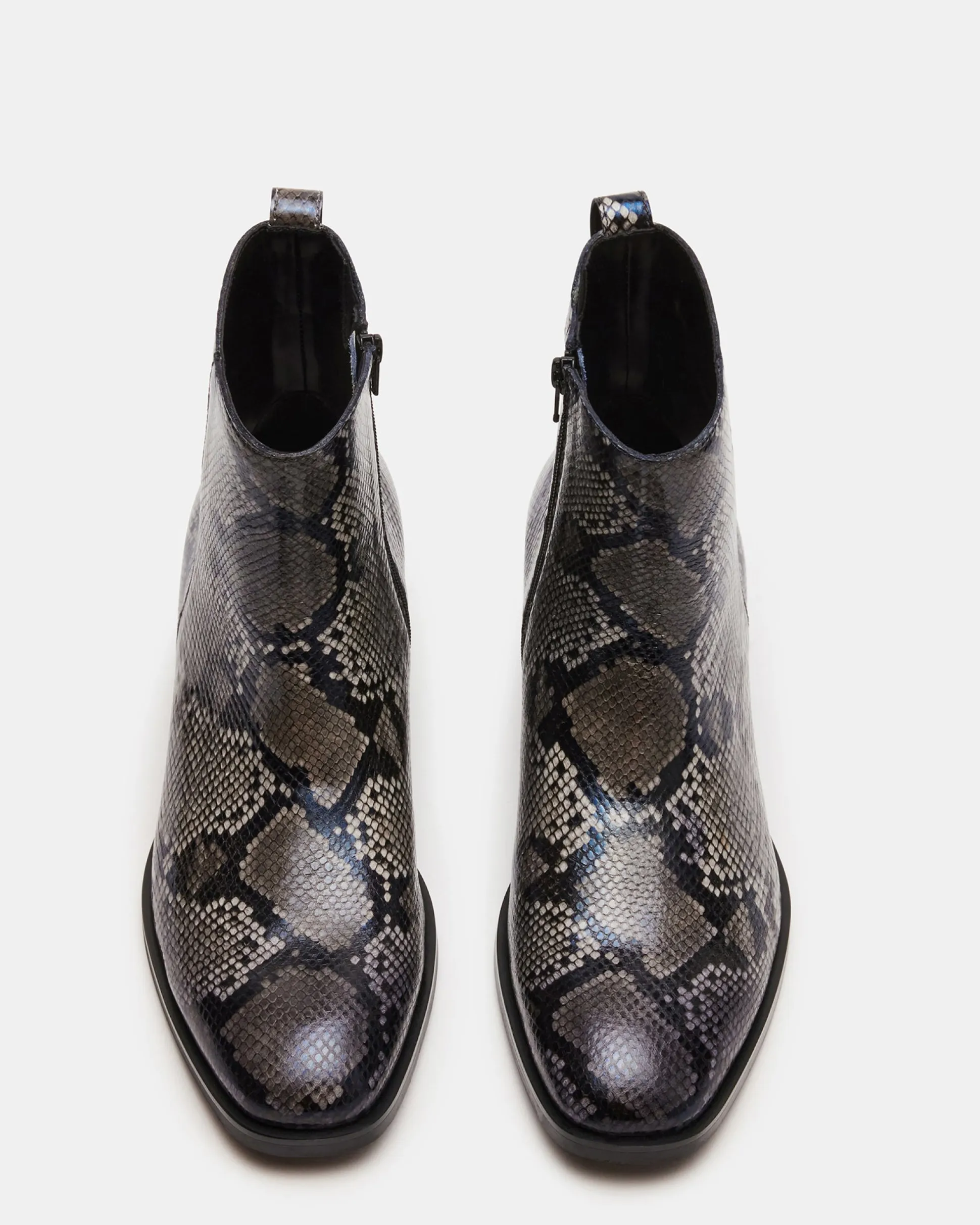 Richie Grey Snake