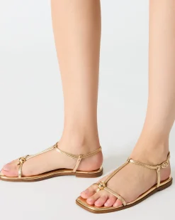 Ritzy Gold