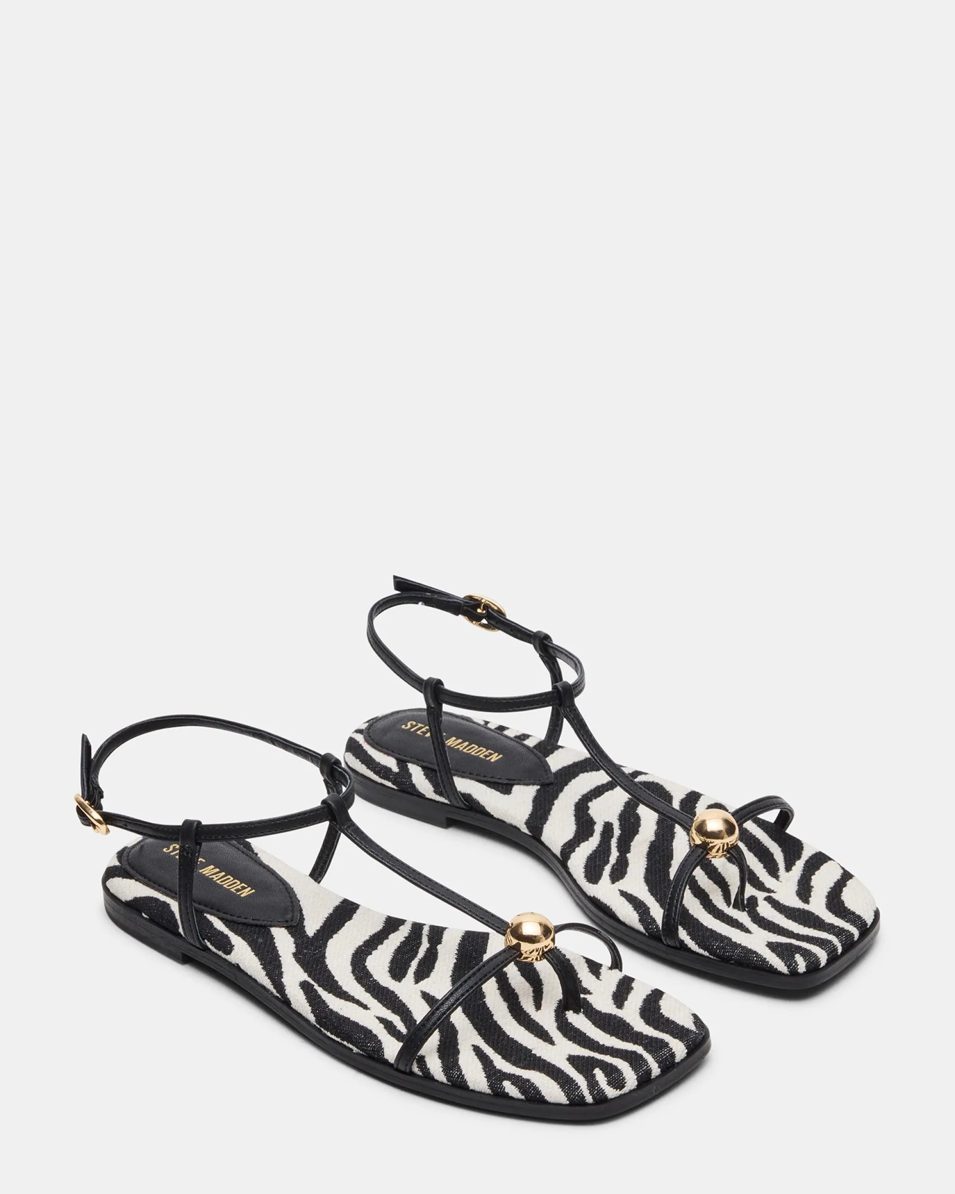 Ritzy Zebra