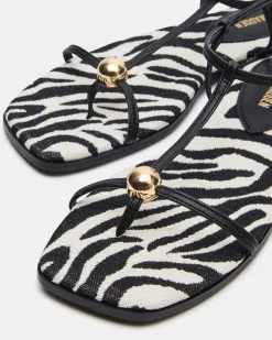 Ritzy Zebra