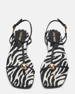 Ritzy Zebra