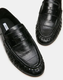 Roger Black Eel