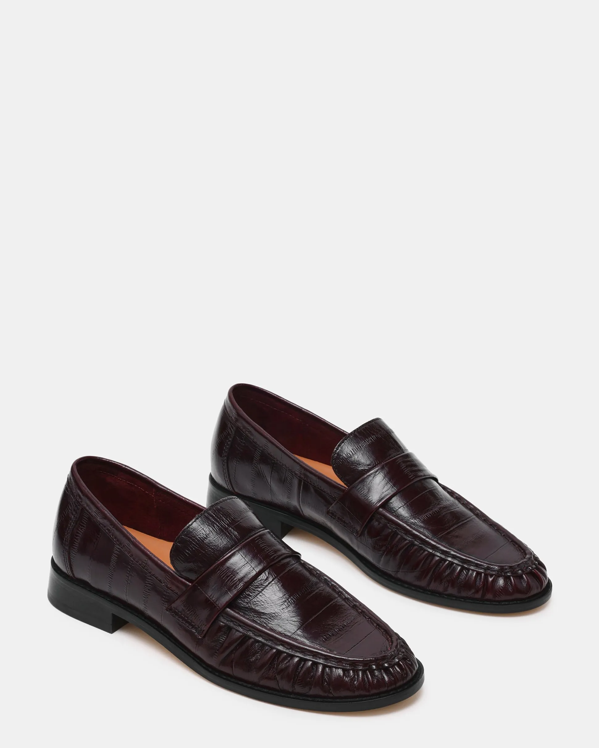Ronie Burgundy Eel