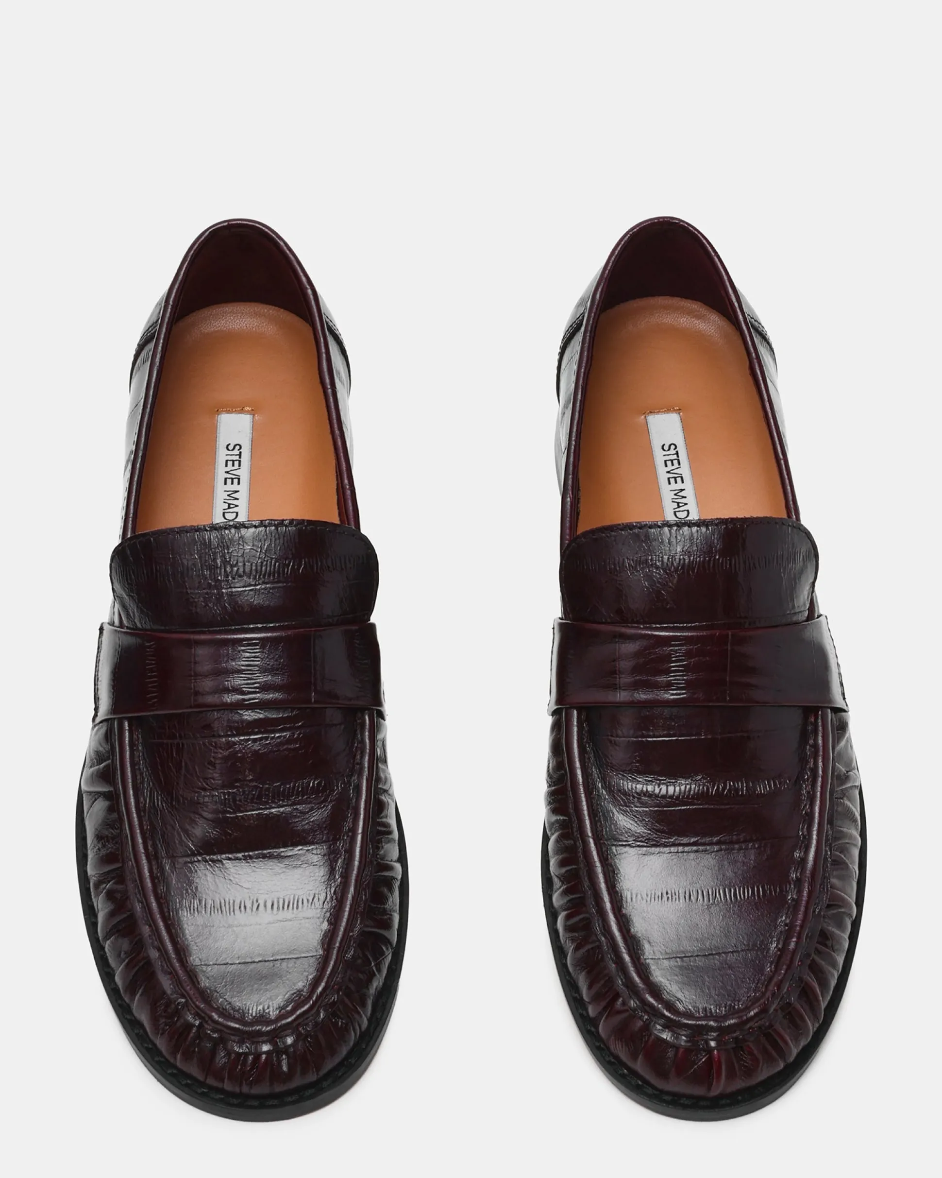 Ronie Burgundy Eel