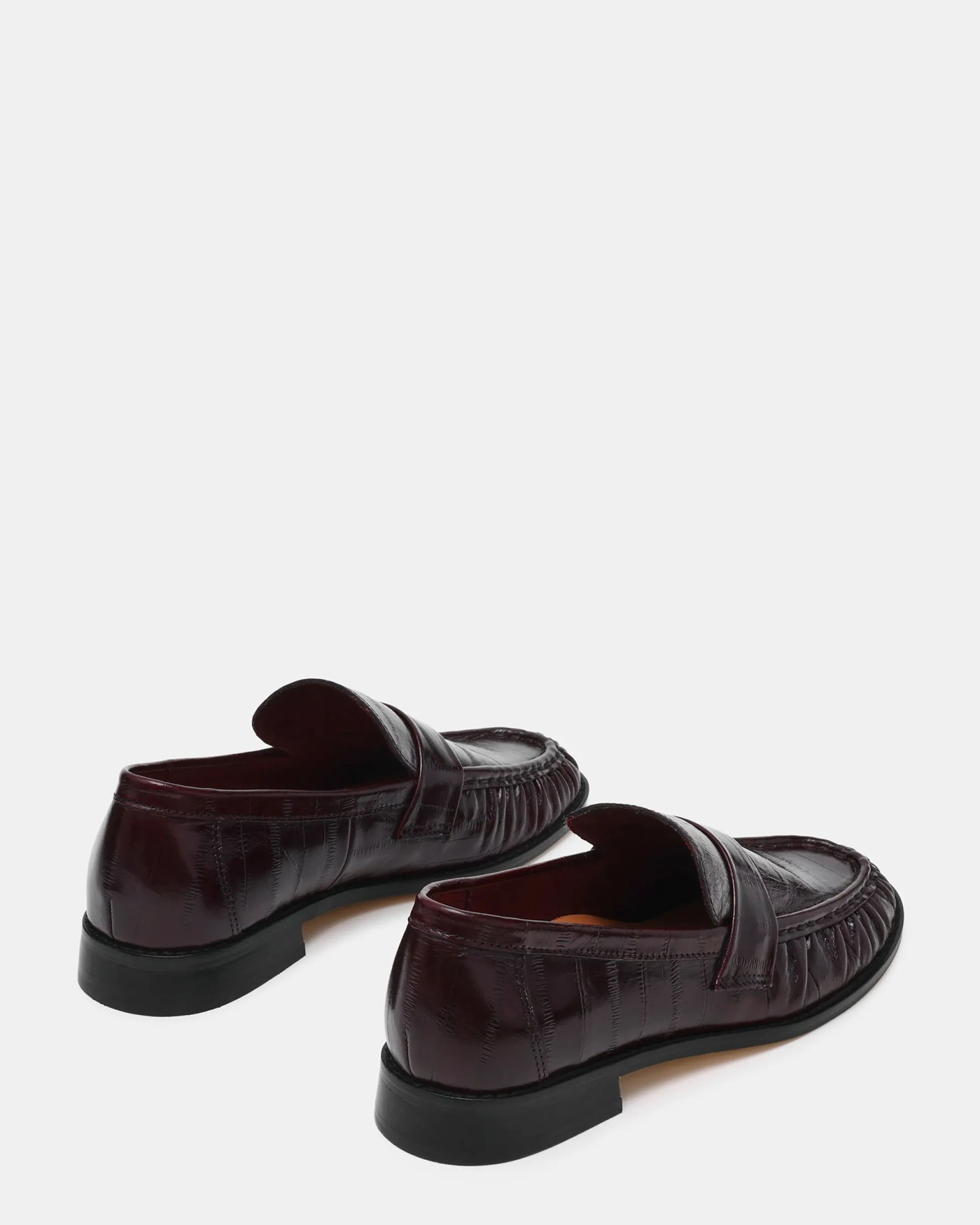 Ronie Burgundy Eel