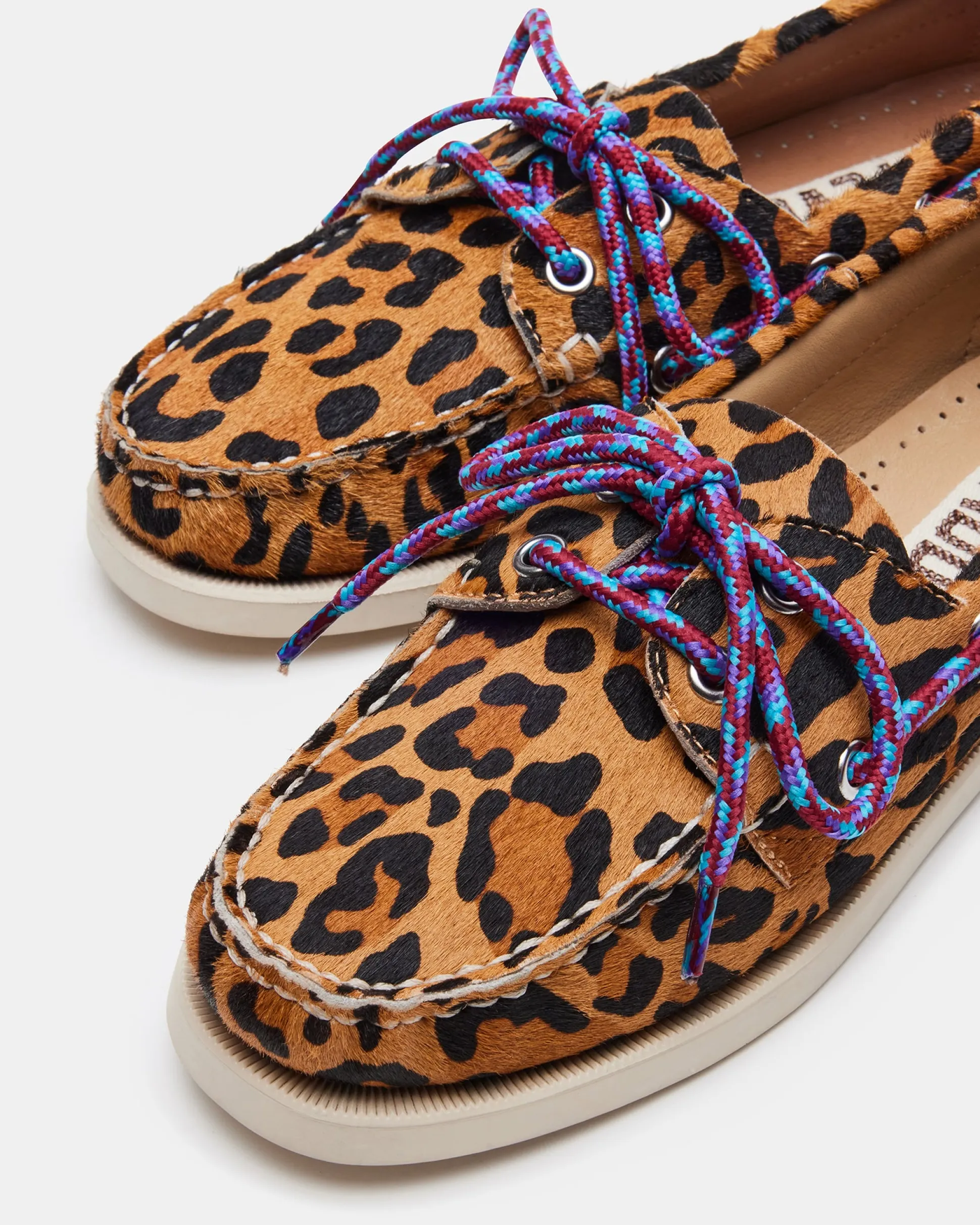 Sail Leopard