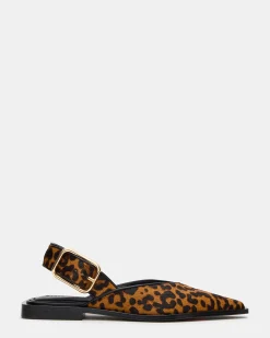 Shay Leopard