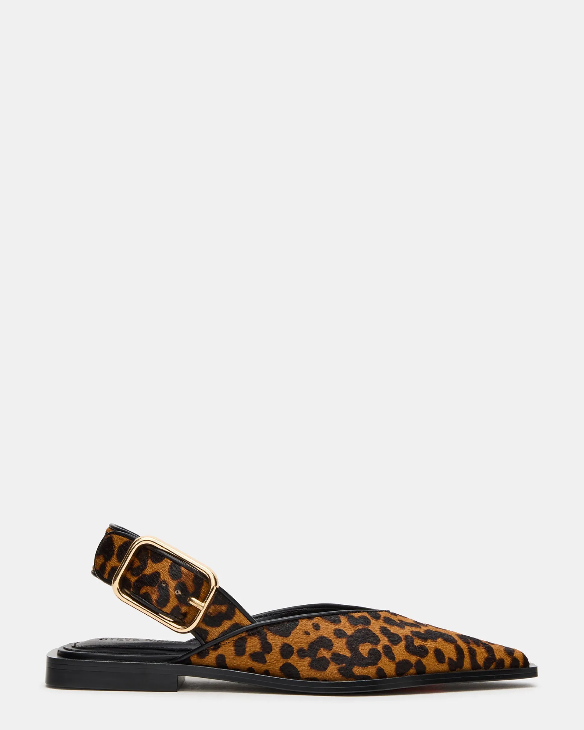 Shay Leopard