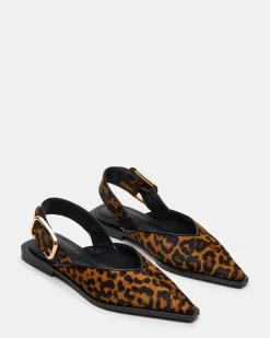 Shay Leopard