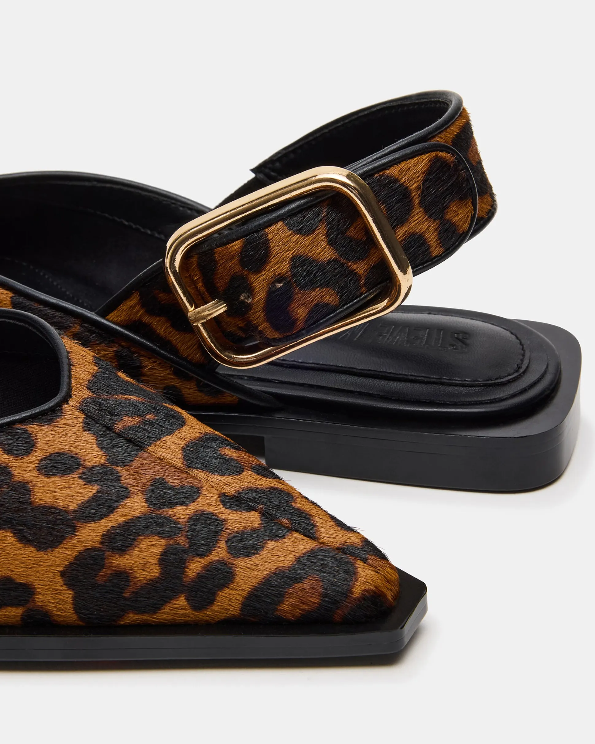 Shay Leopard