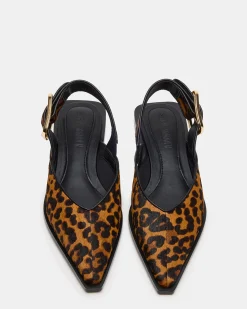 Shay Leopard