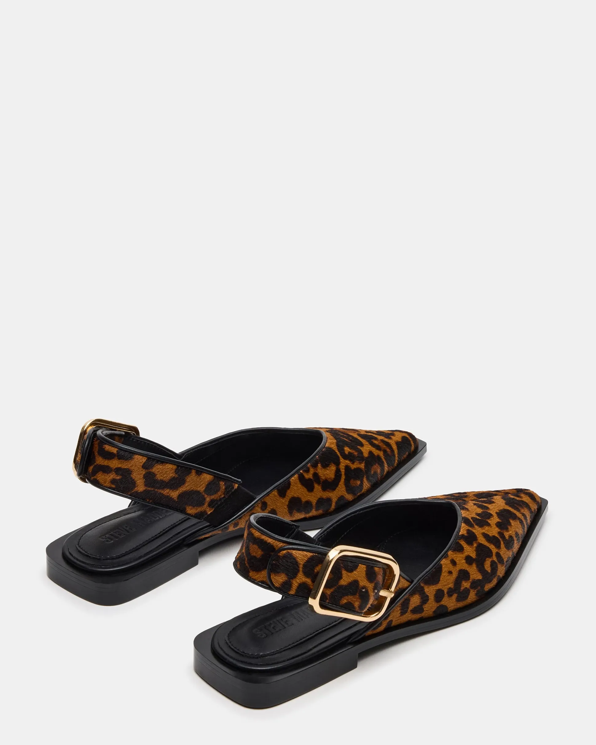 Shay Leopard