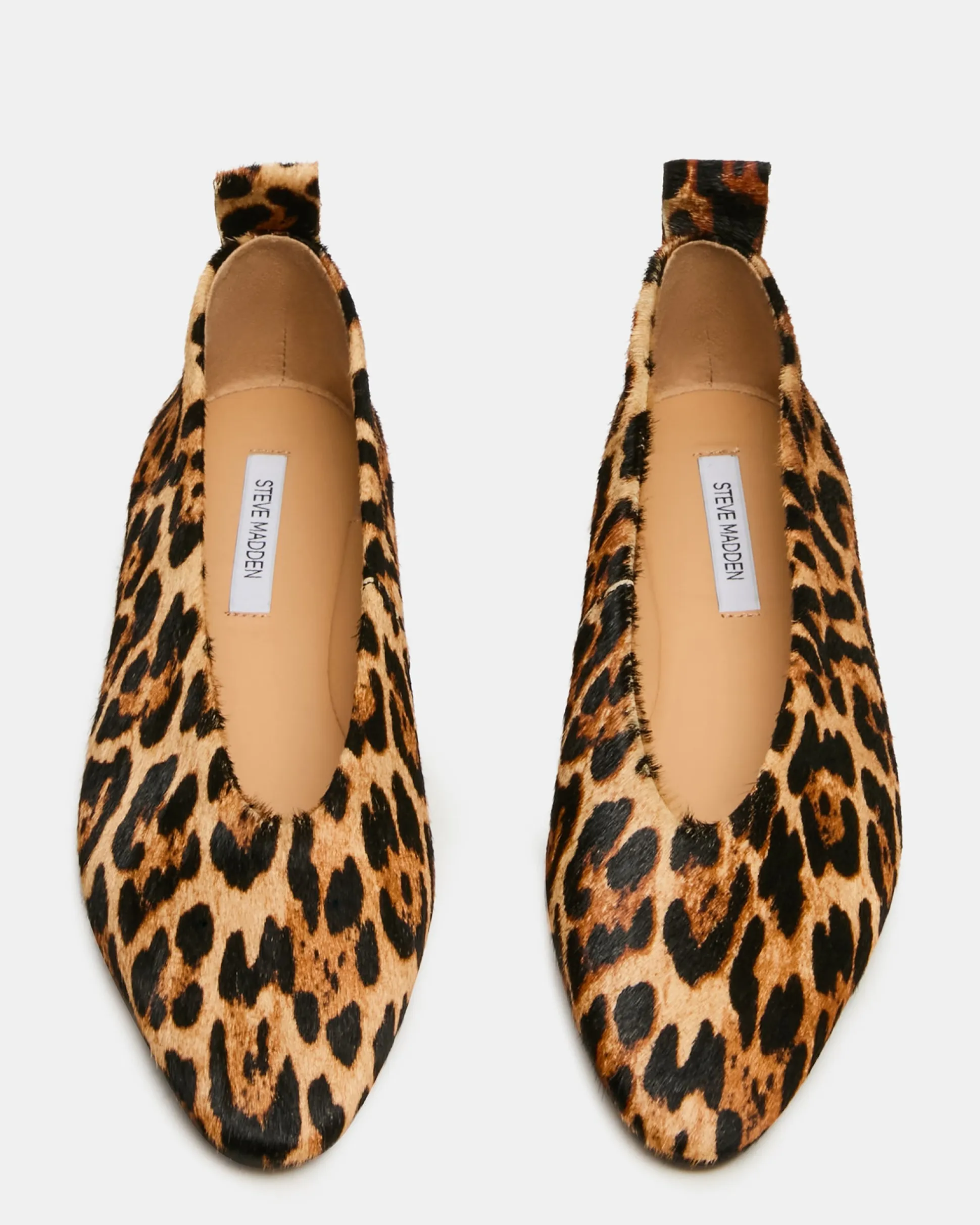 Swanky Leopard