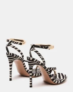 Tia Zebra