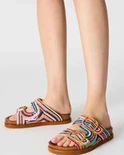 Tourist Multi Color