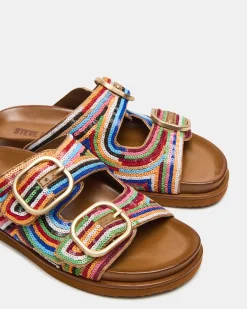 Tourist Multi Color