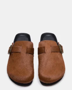 Wooly Chestnut
